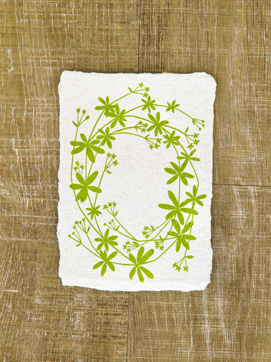 Bedstraw Art Note