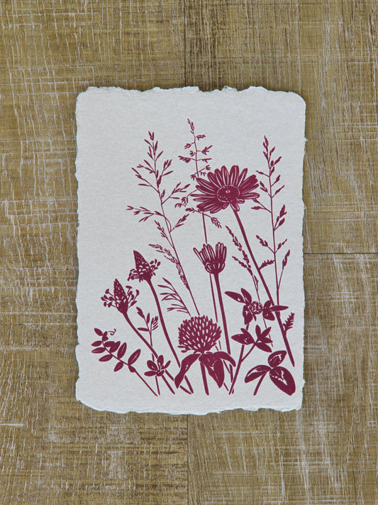 Field Wildflowers Art Note