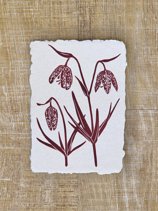 Chocolate Lily Art Note