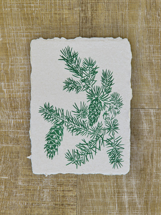 Douglas Fir Art Note