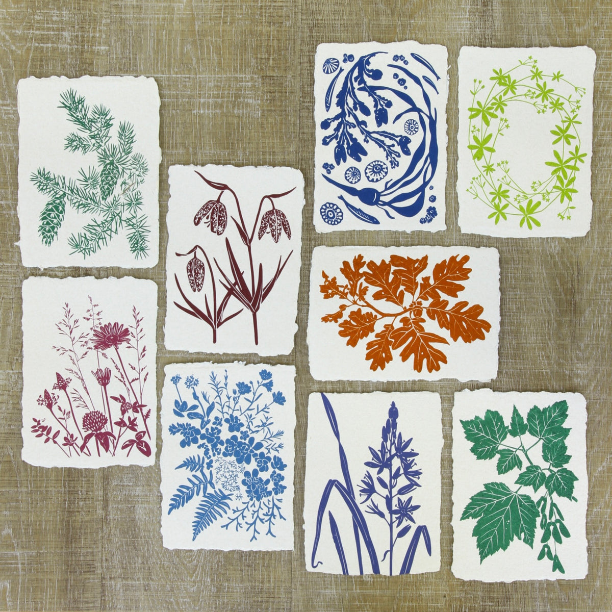 Camas 5x7 Wall Art / Notecard