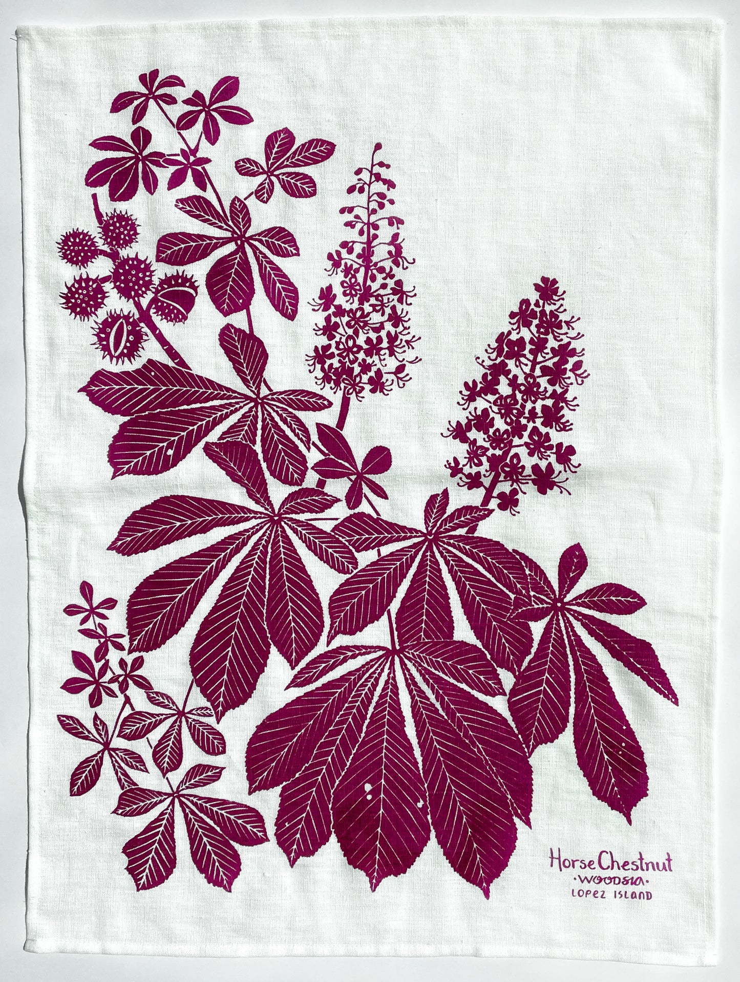Horse Chestnut Kitchen Towel in Rainier Cherry Red on White