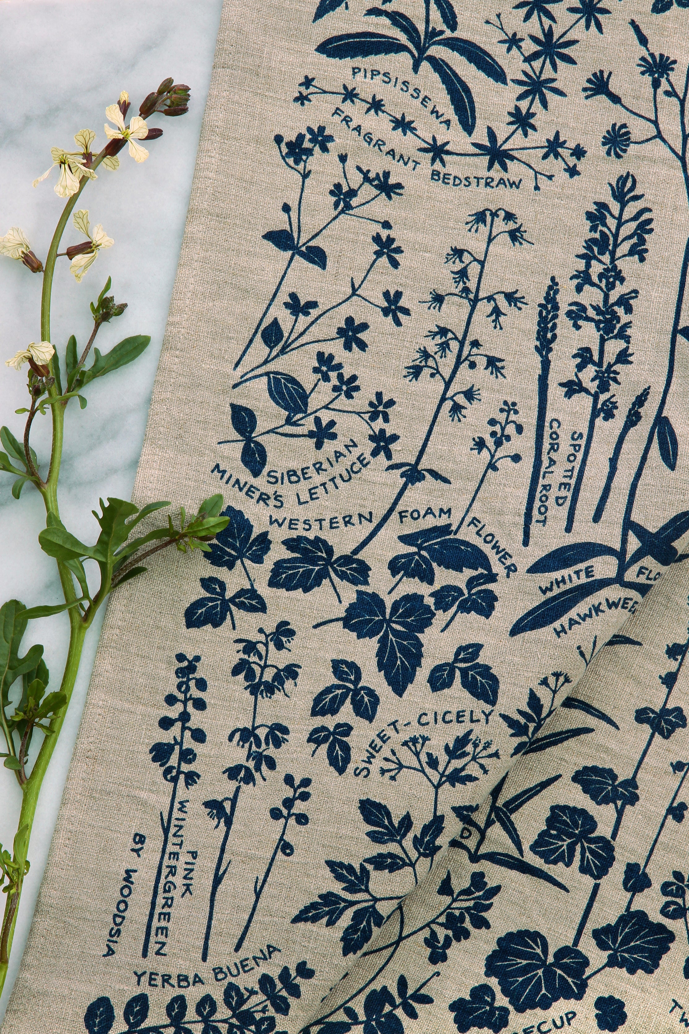 Kitchen Towels - Thistle – The Dolphin Studio