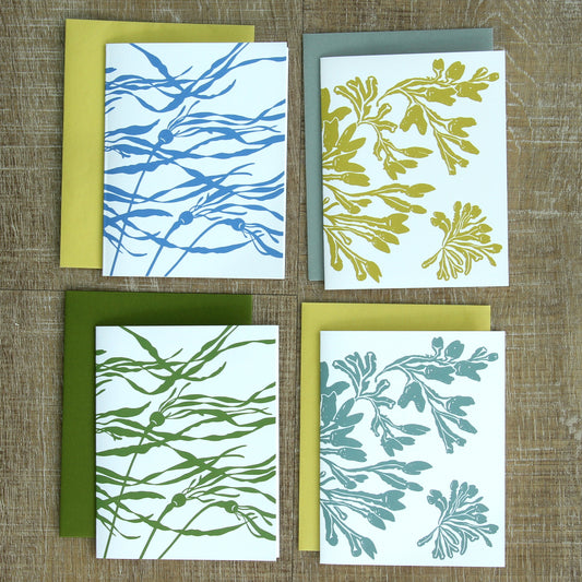 4 Bull Kelp & Rockweed Notecards