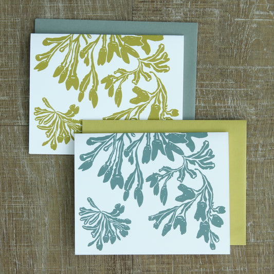 4 Seaweed Notecards