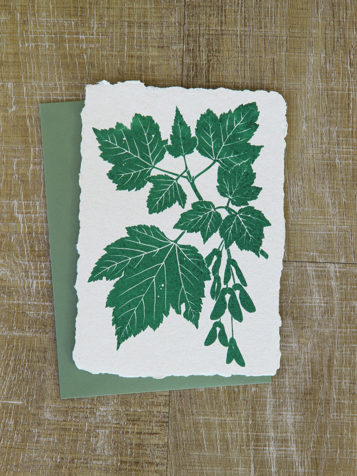 Douglas Maple Art Note