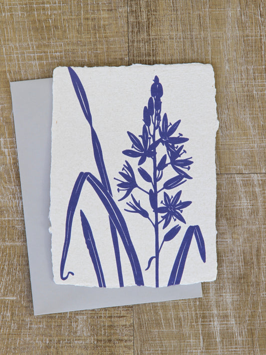 Camas Art Note