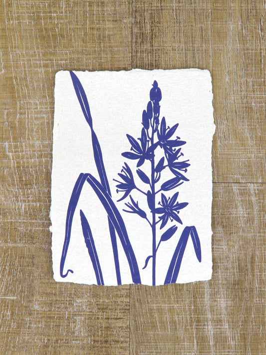 Camas Art Note