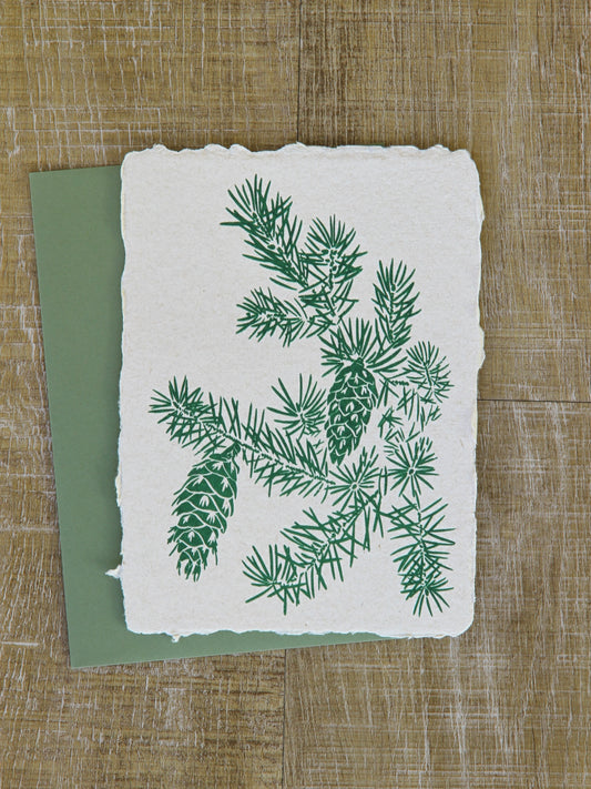 Douglas Fir Art Note
