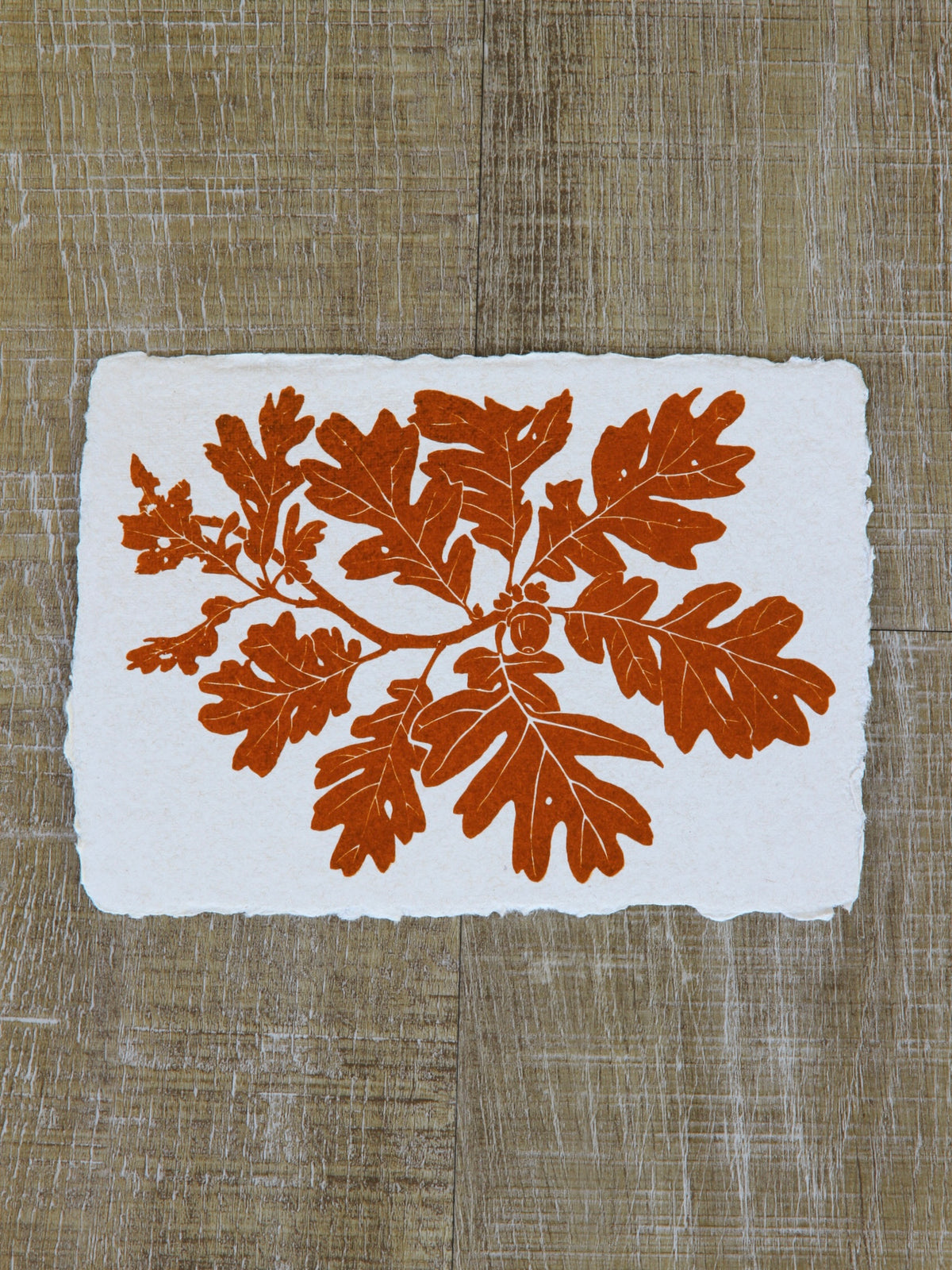 Garry Oak Art Note