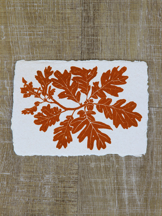 Garry Oak Art Note